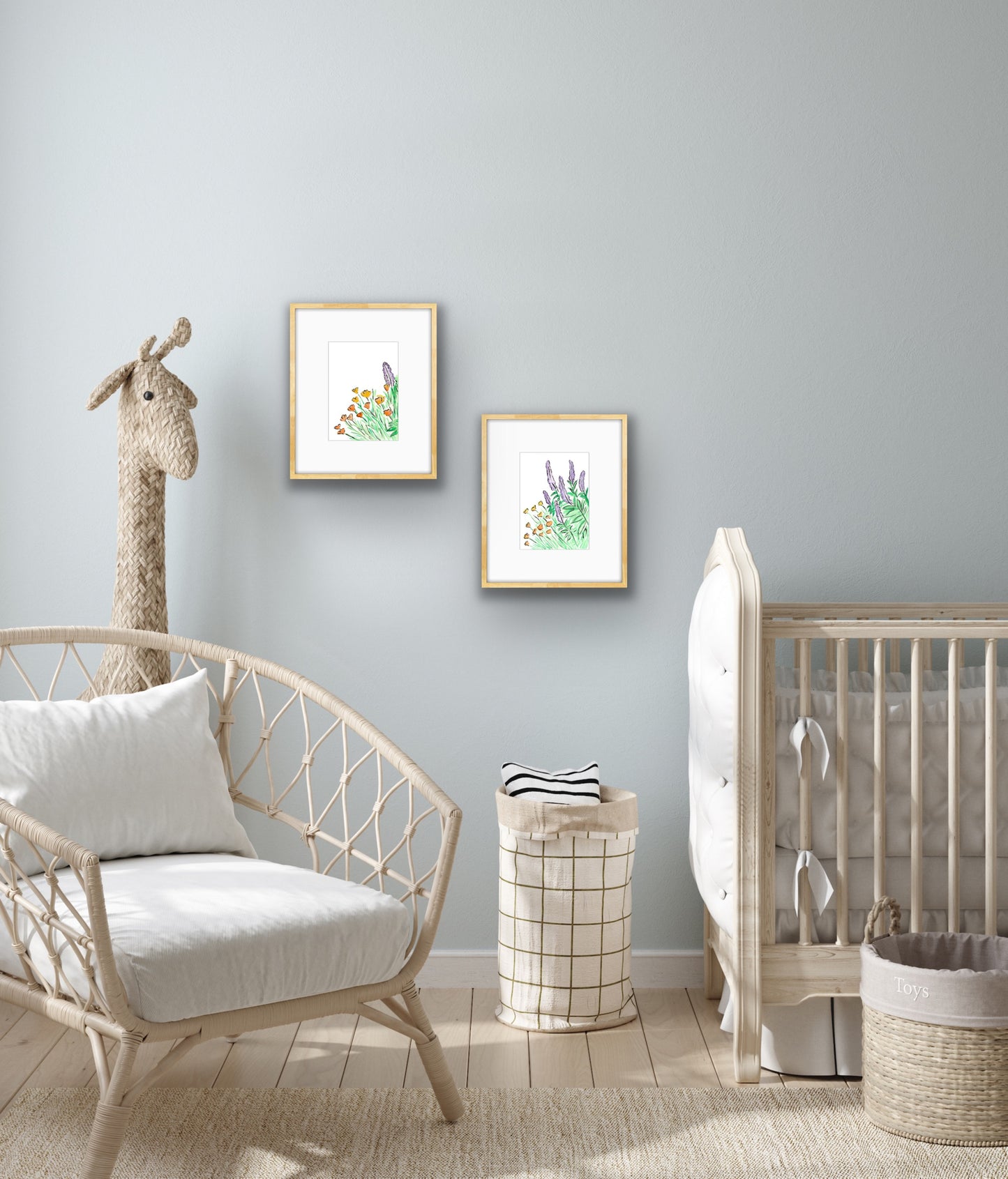 Salvia and California Poppy 2