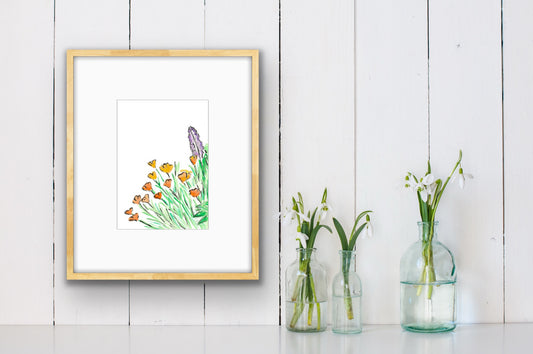 Salvia and California Poppy 2