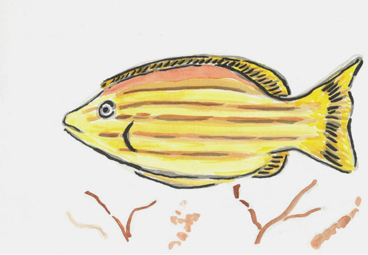 Coral Fish- Original Artwork