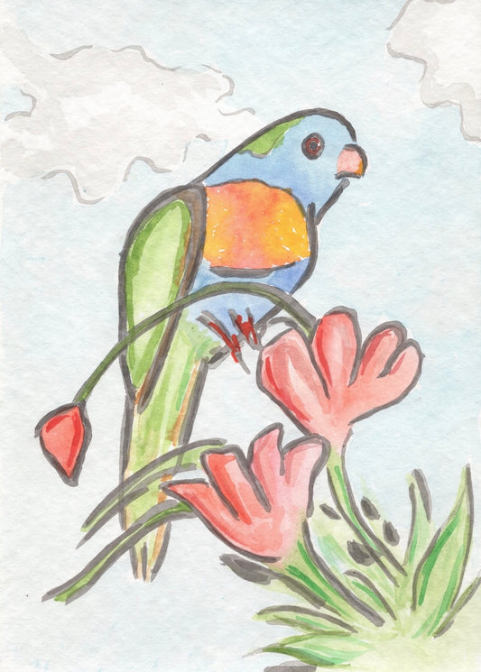 Lorikeet