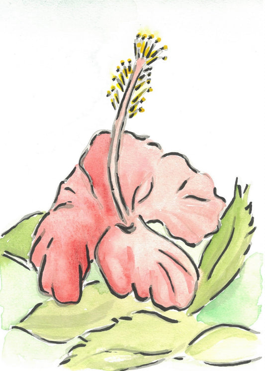 Hibiscus- Original Artwork
