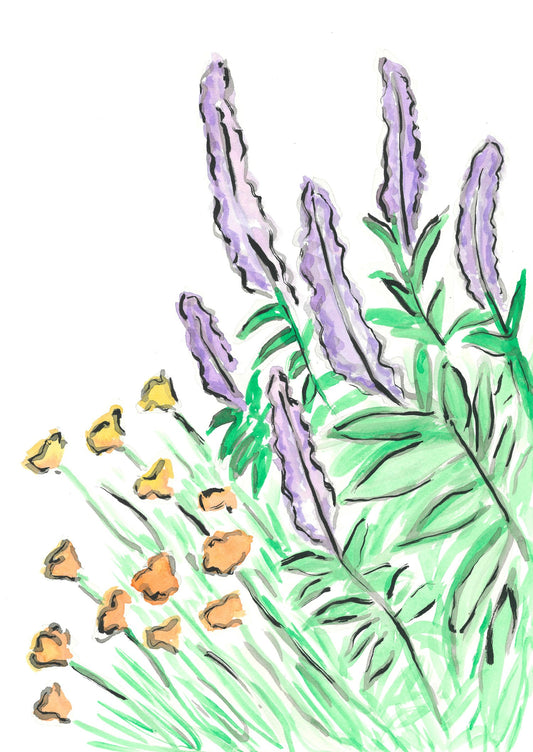 Salvia and Californian Poppy- Original Artwork