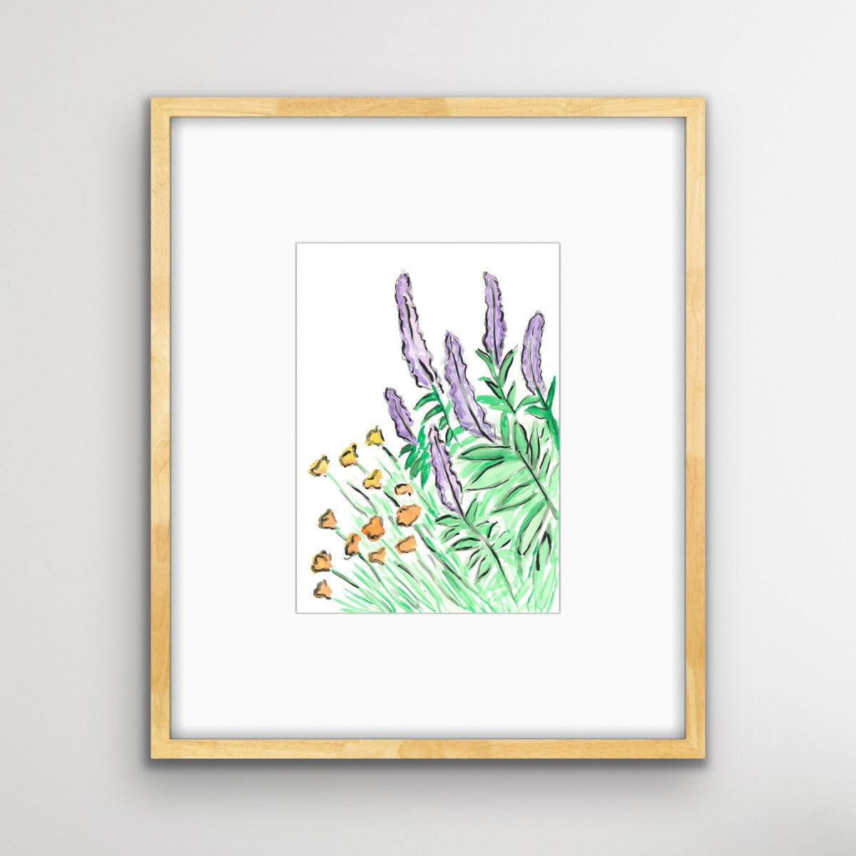 Salvia and Californian Poppy