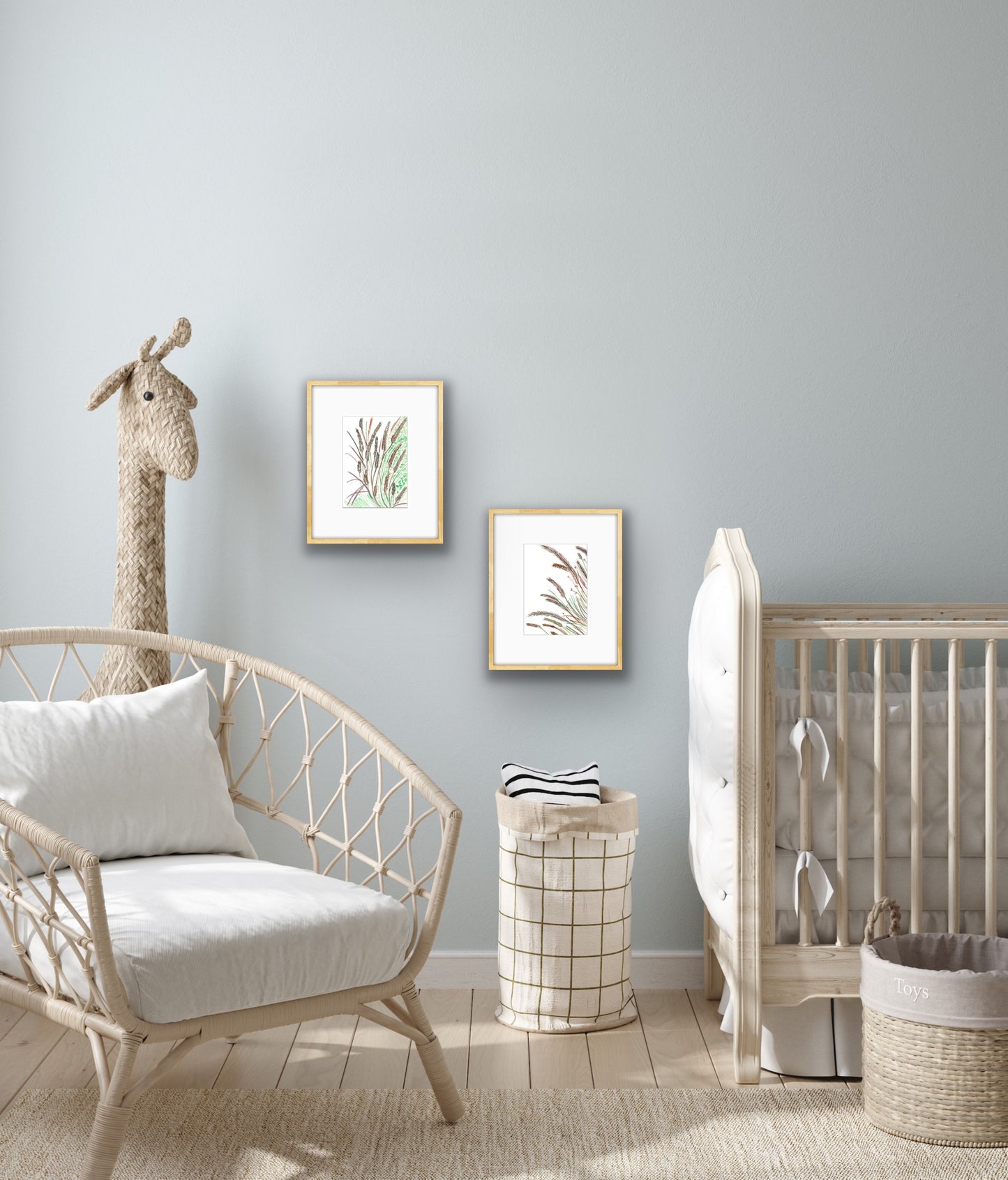 Purple Fountain Grass