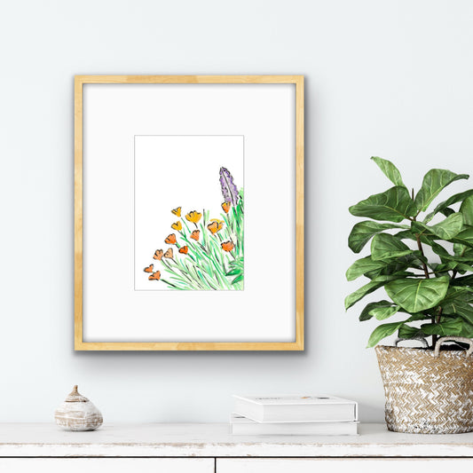 Salvia and California Poppy 2