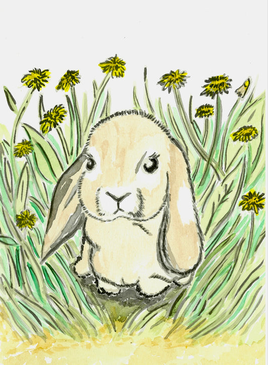 Mini Lop Earred Rabbit- Original Artwork
