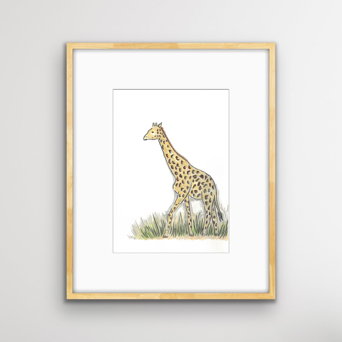 African Giraffe