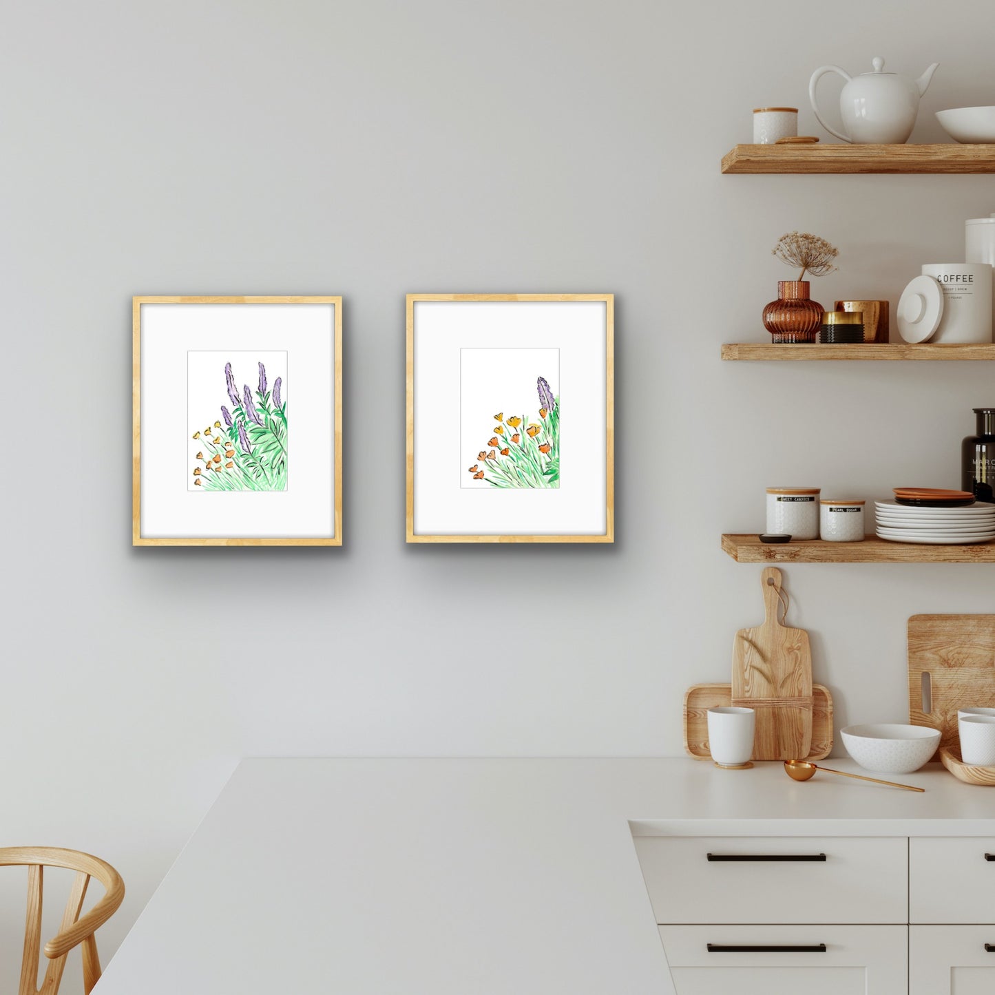 Salvia and California Poppy 2