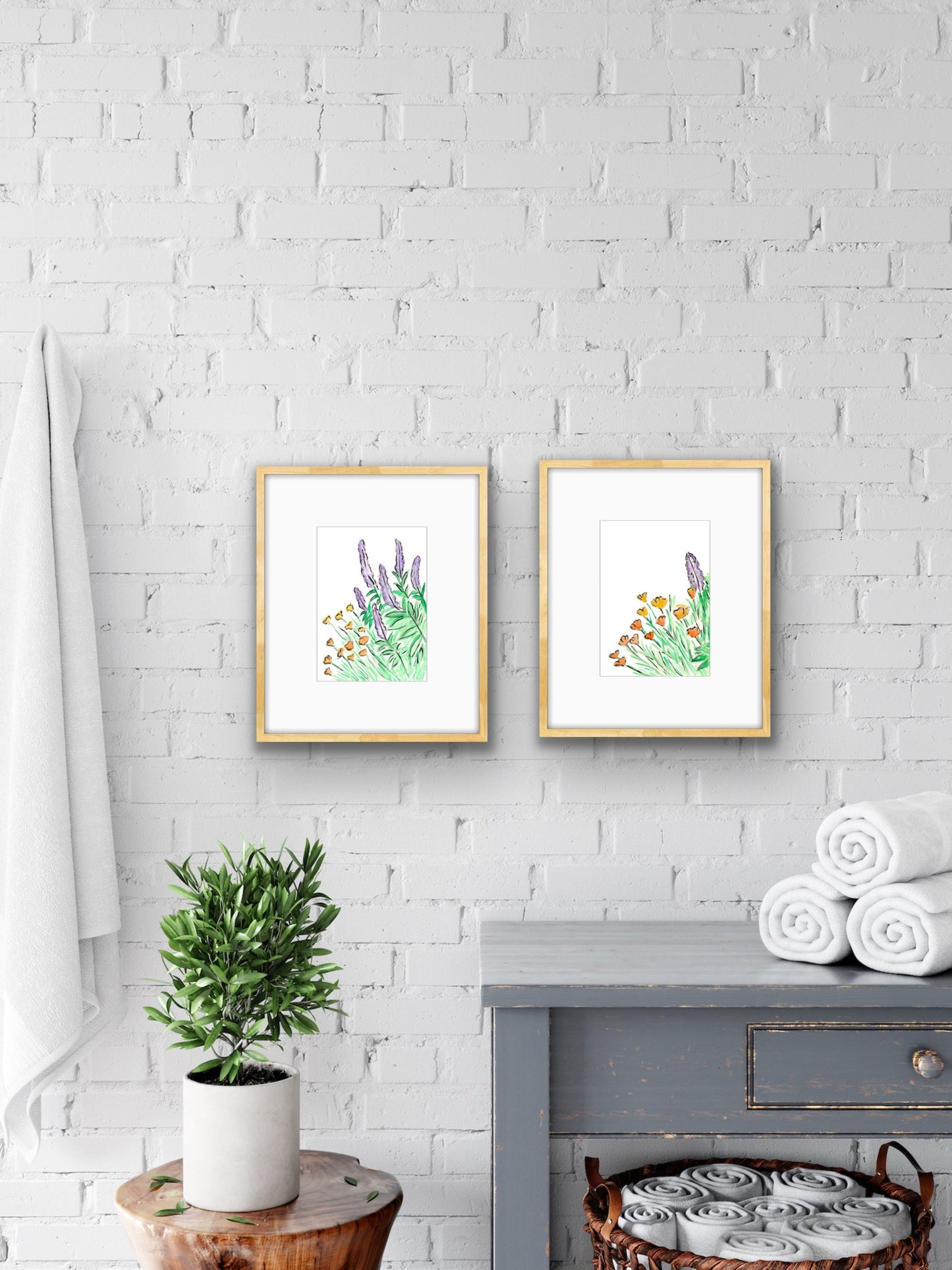 Salvia and California Poppy 2