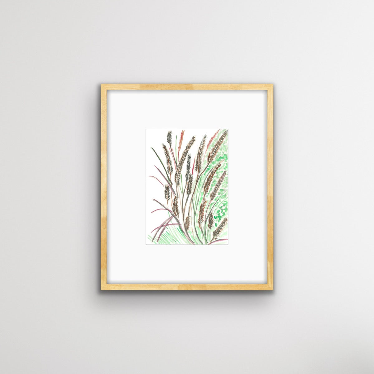 Purple Fountain Grass