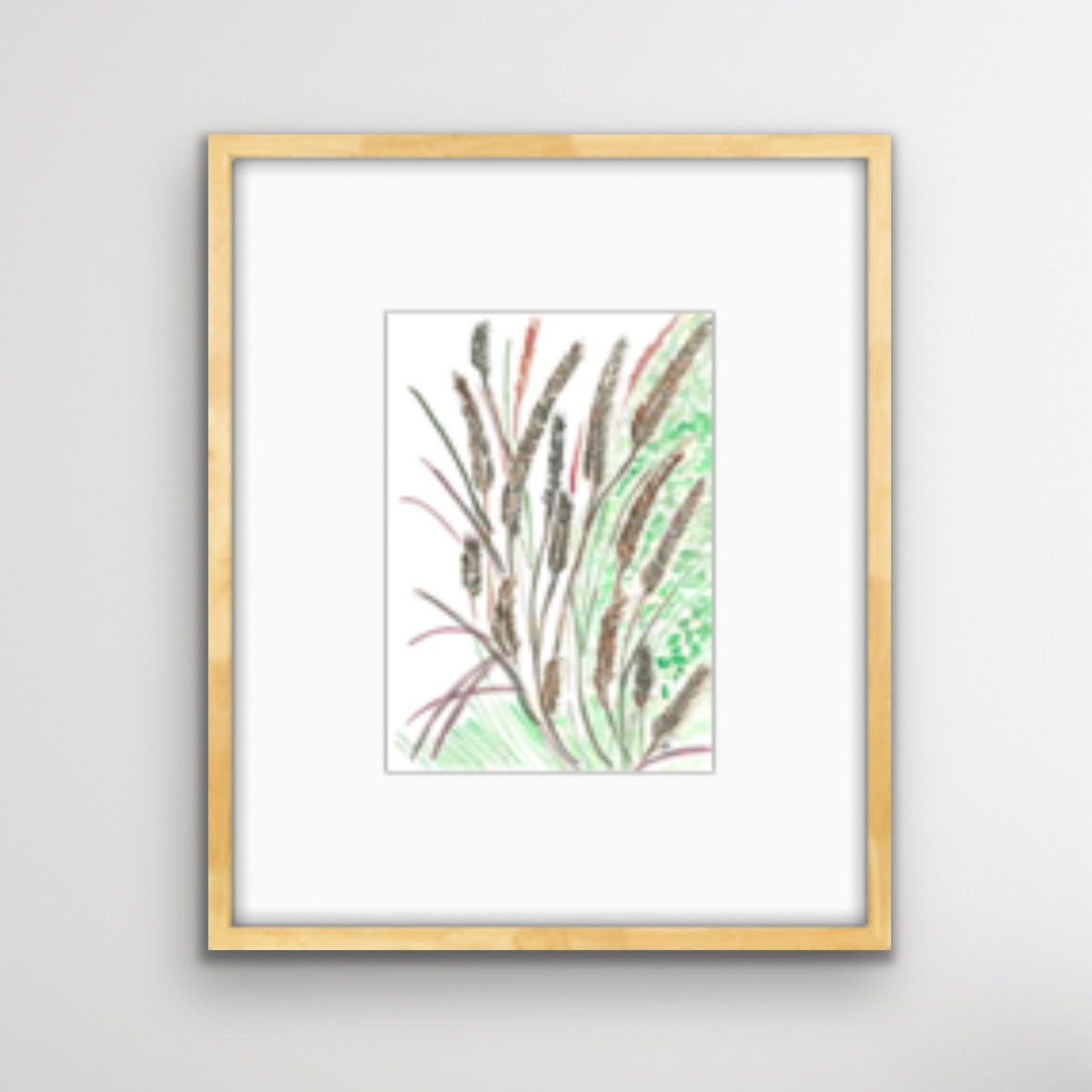 Purple Fountain Grass