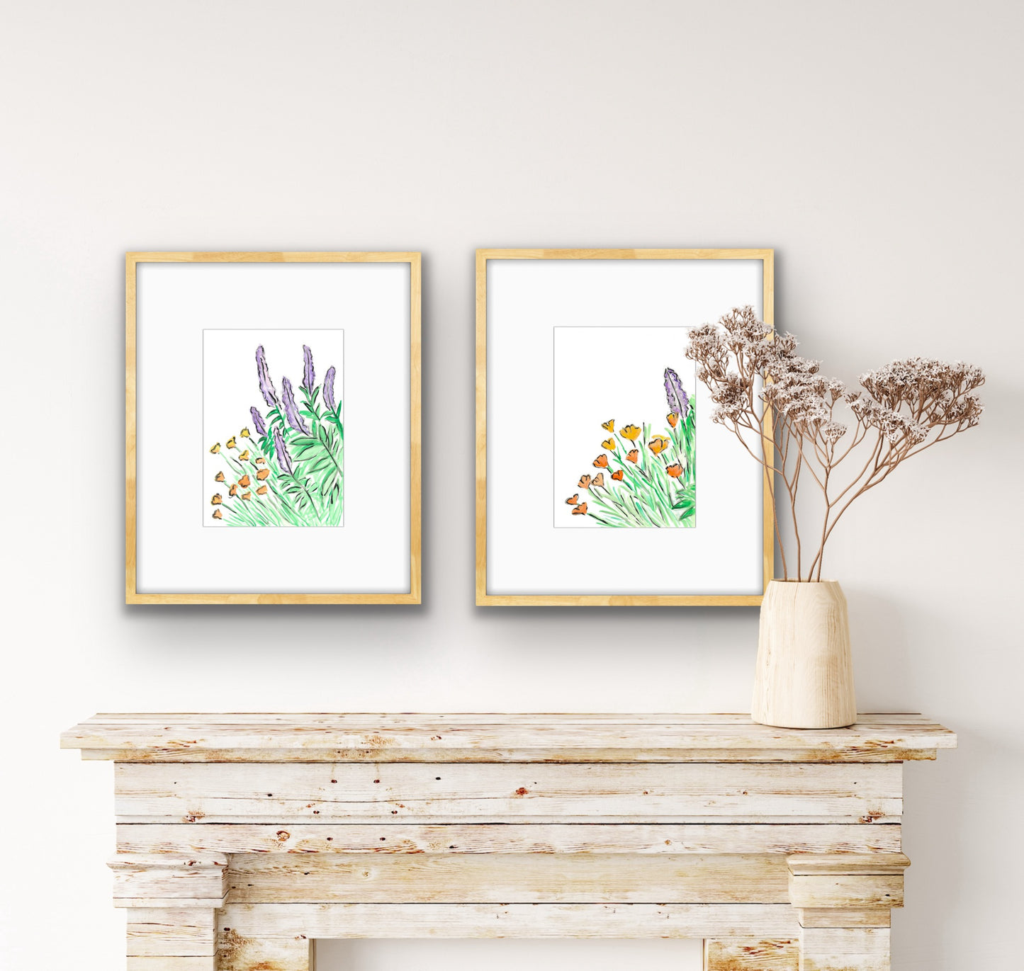 Salvia and Californian Poppy