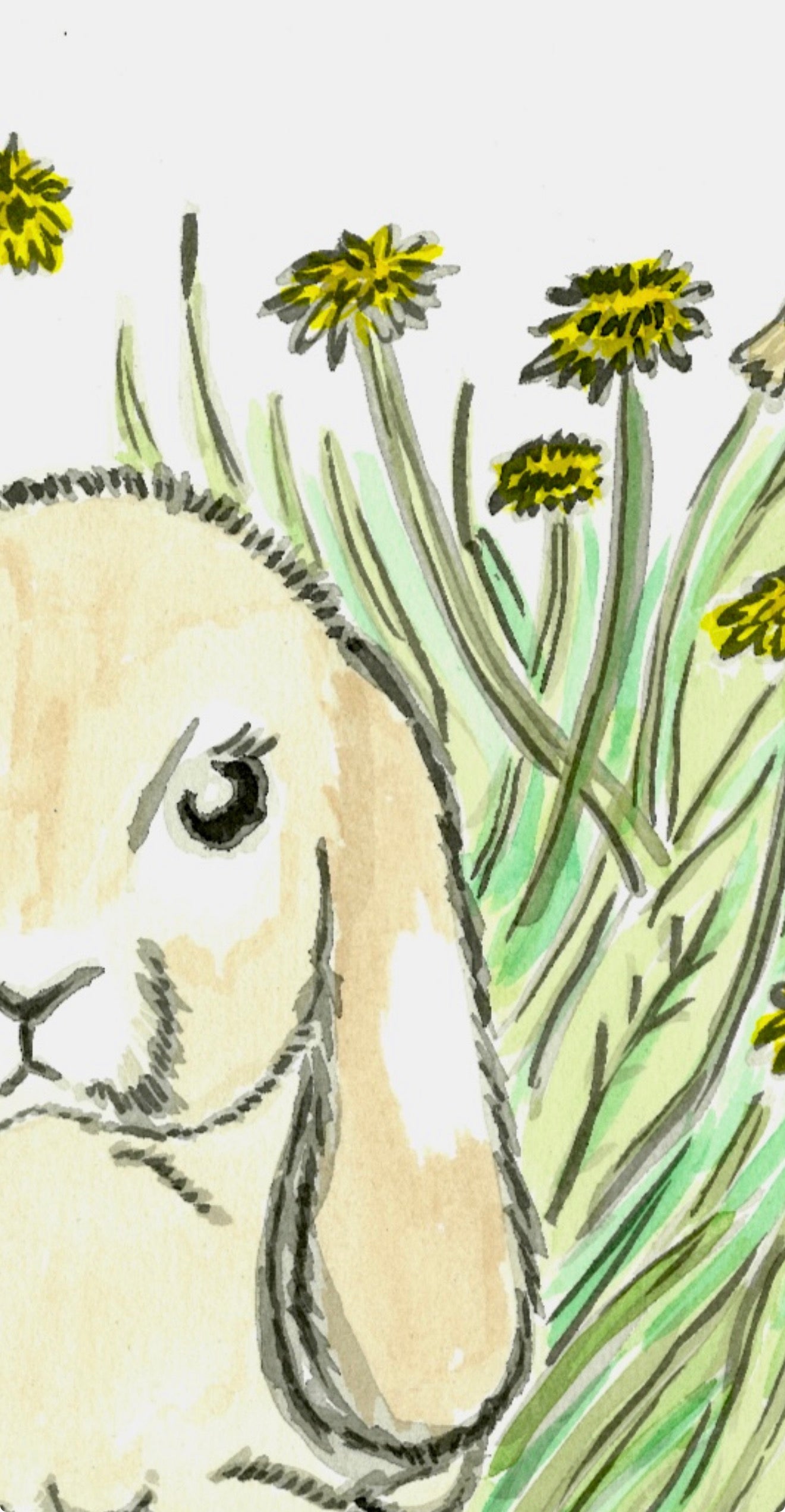 Mini Lop Earred Rabbit- Original Artwork