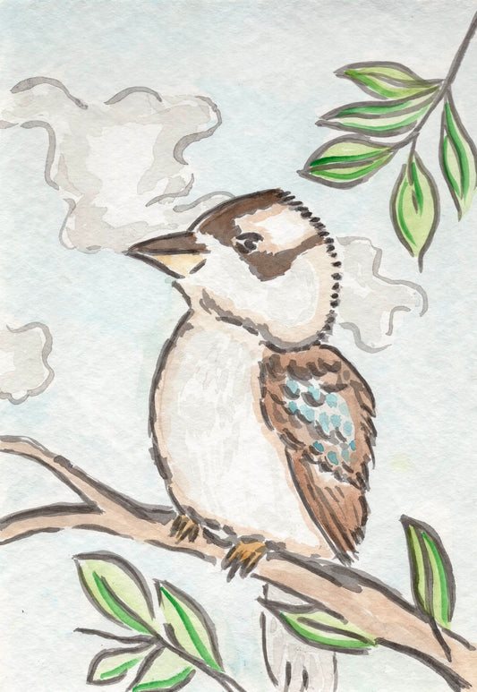 Kookaburra