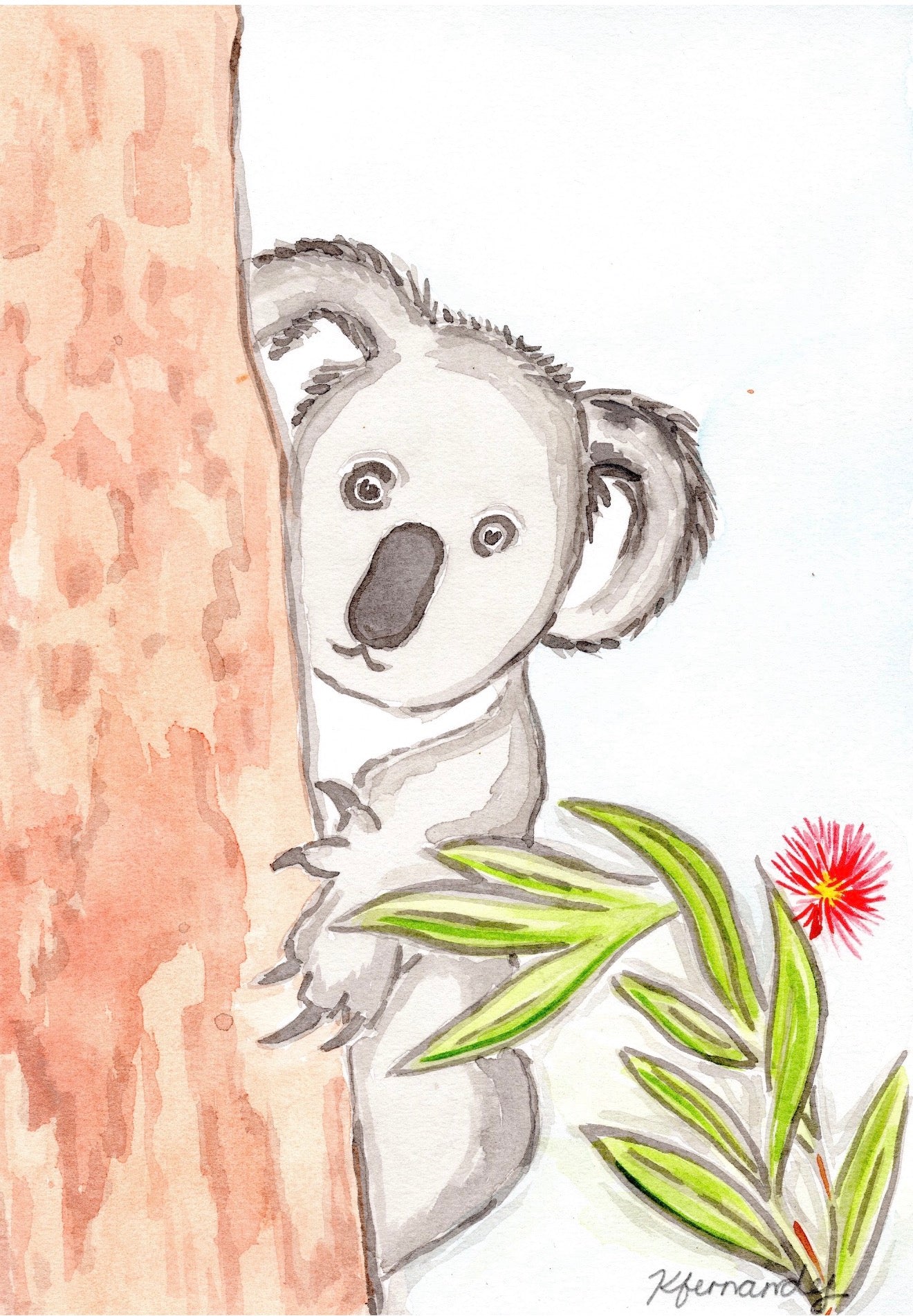 Koala
