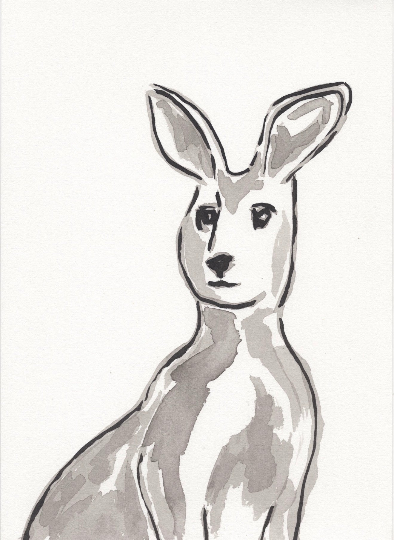 Kangaroo