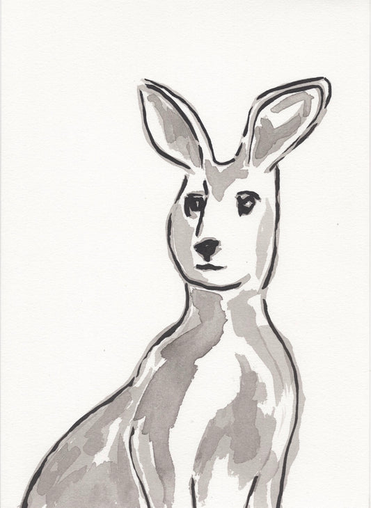 Kangaroo