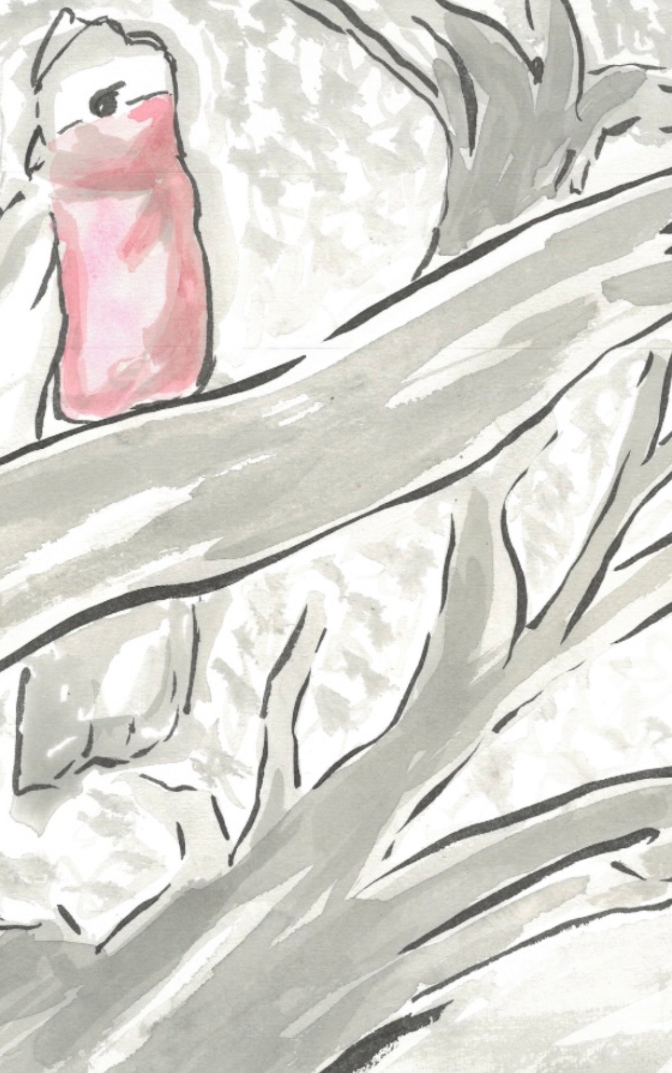 Two Galahs- Original Artwork