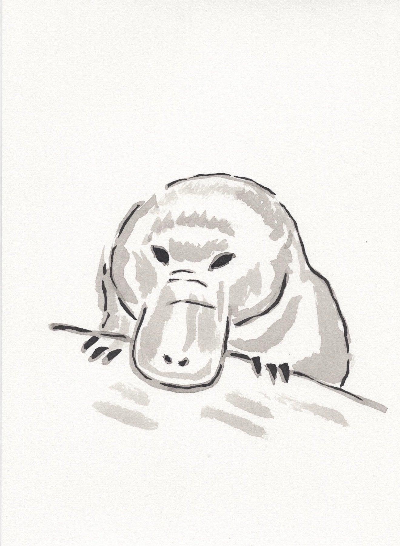 Platypus
