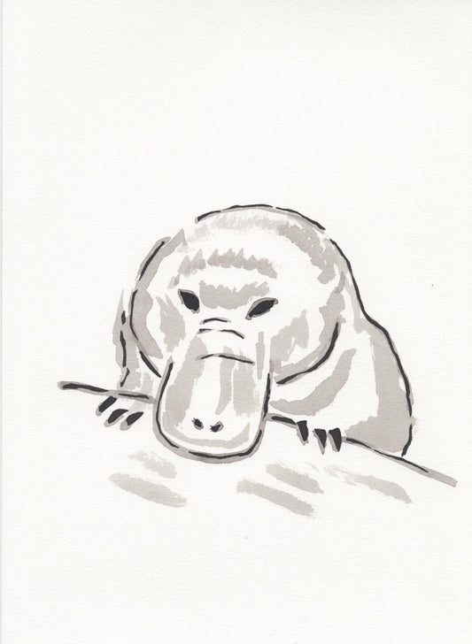 Platypus