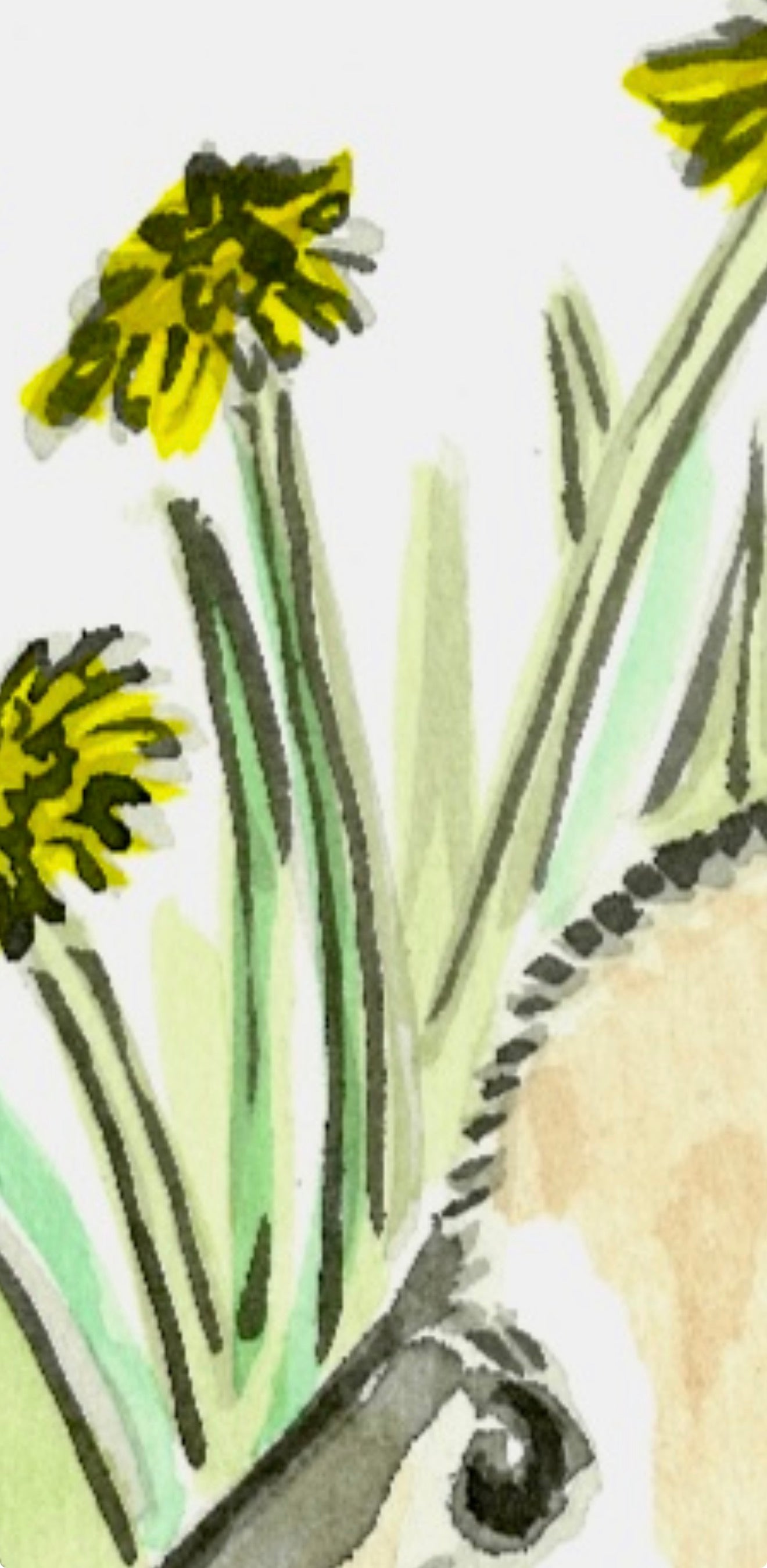 Mini Lop Earred Rabbit- Original Artwork