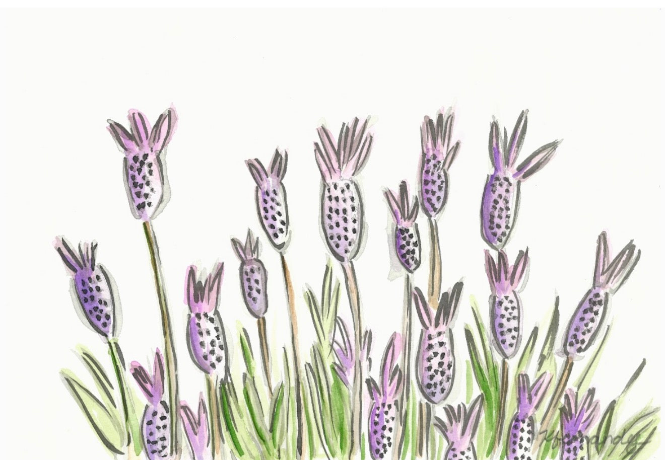 Lavender- Original Artwork