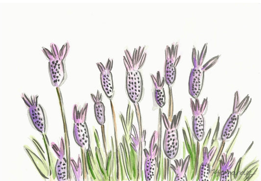 Lavender- Original Artwork
