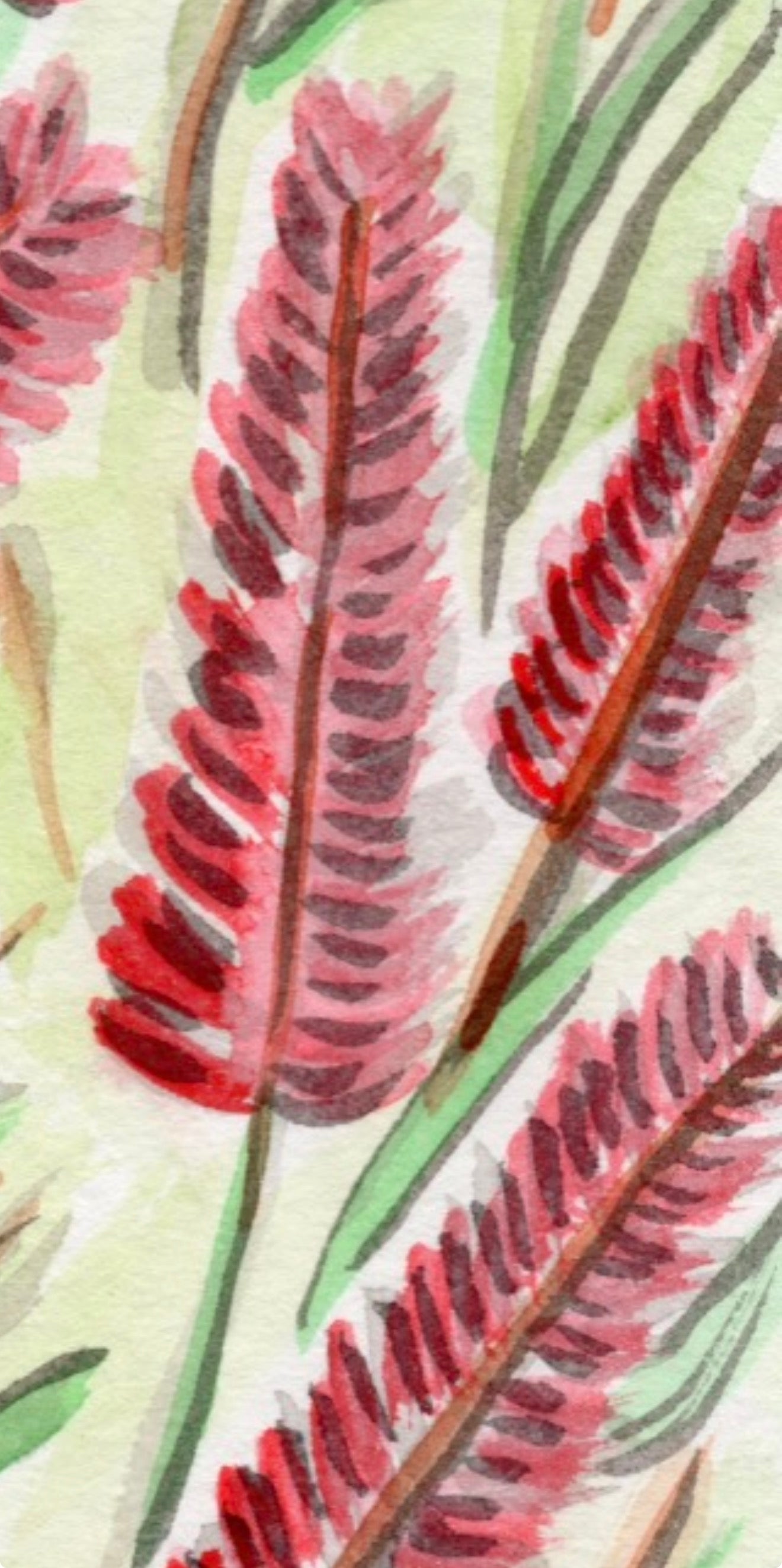 Bottlebrush- Original Artwork