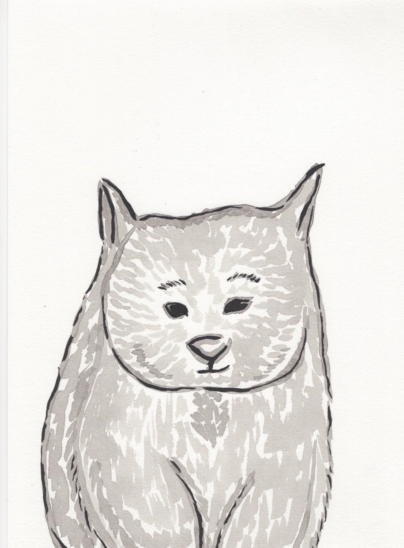 Wombat