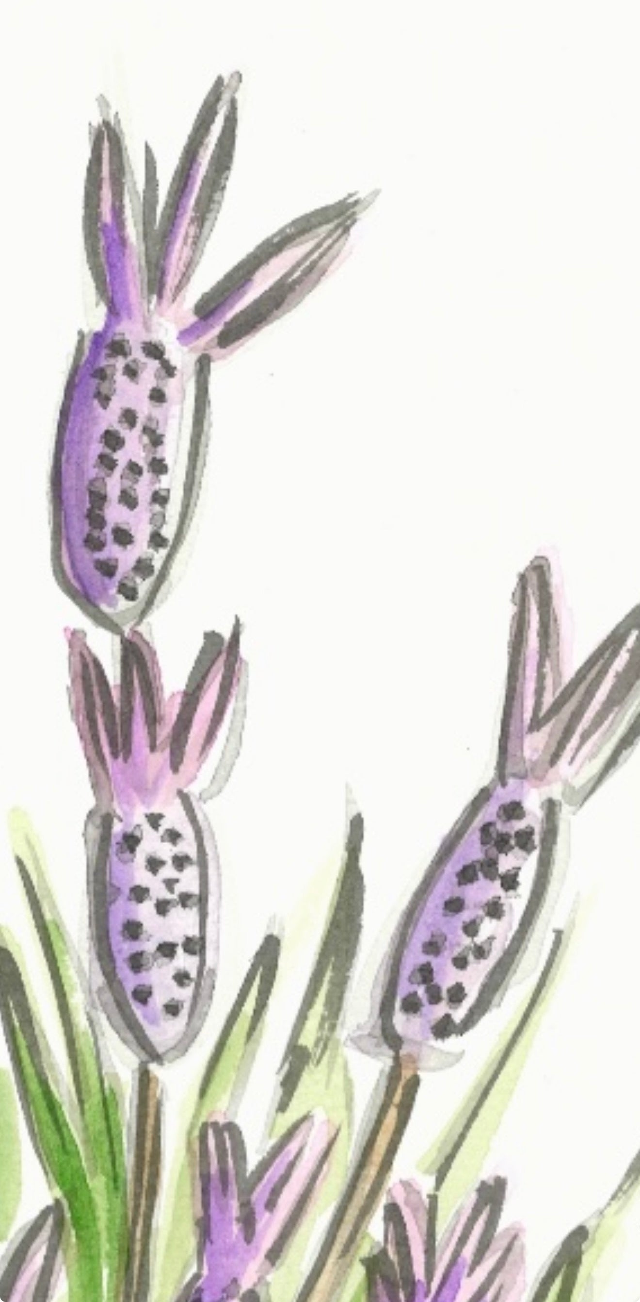 Lavender- Original Artwork