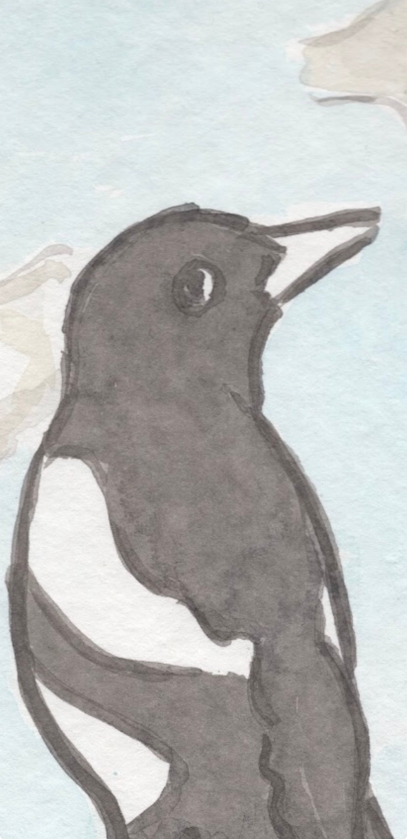 Magpie