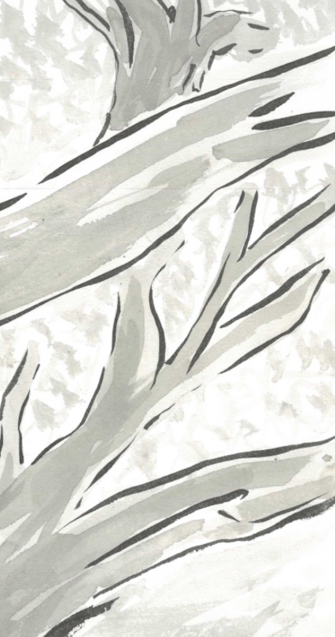 Two Galahs- Original Artwork