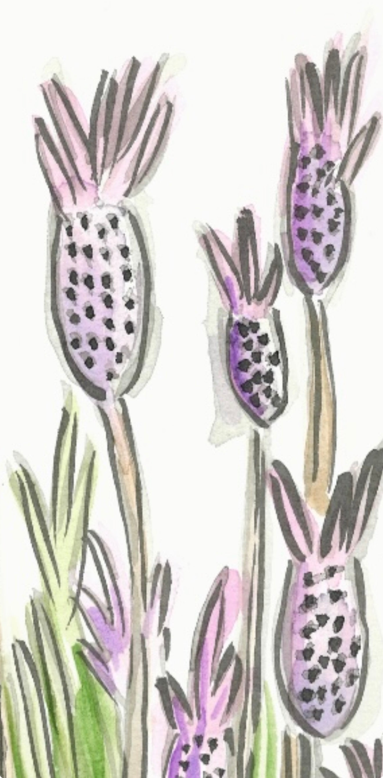 Lavender- Original Artwork