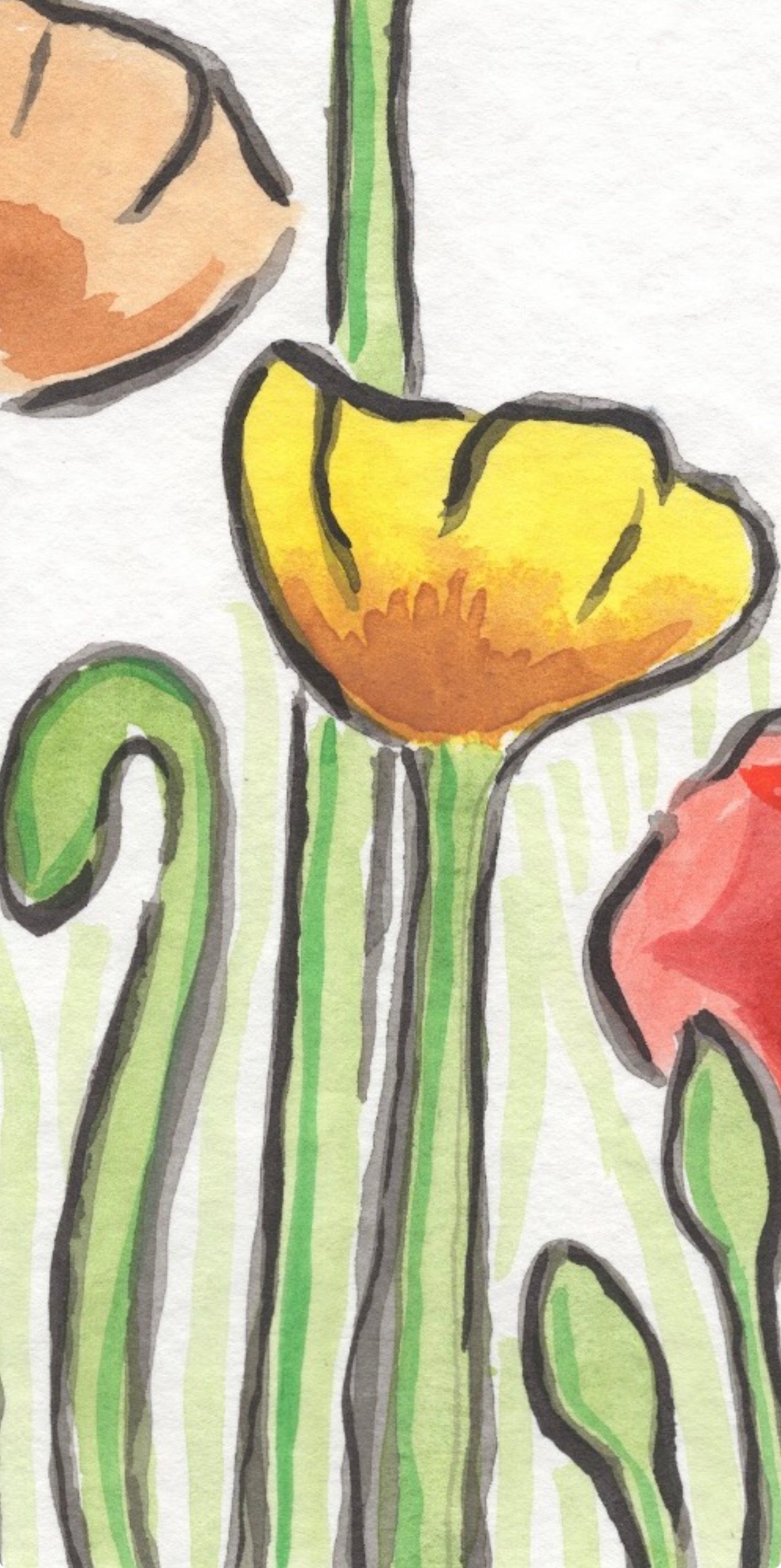 Poppies 1- Original Artwork