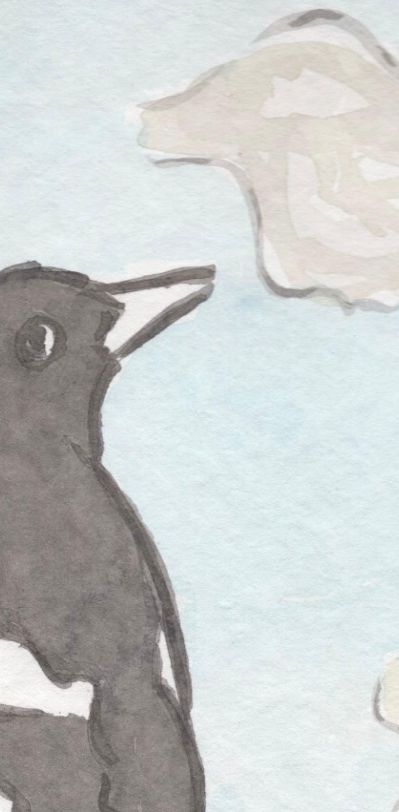 Magpie