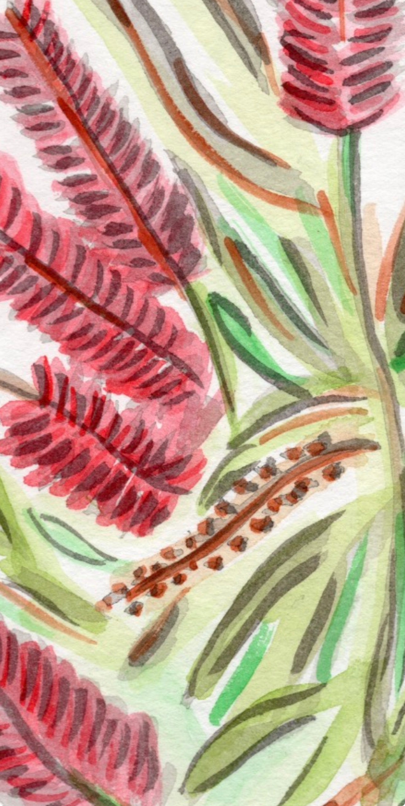 Bottlebrush- Original Artwork