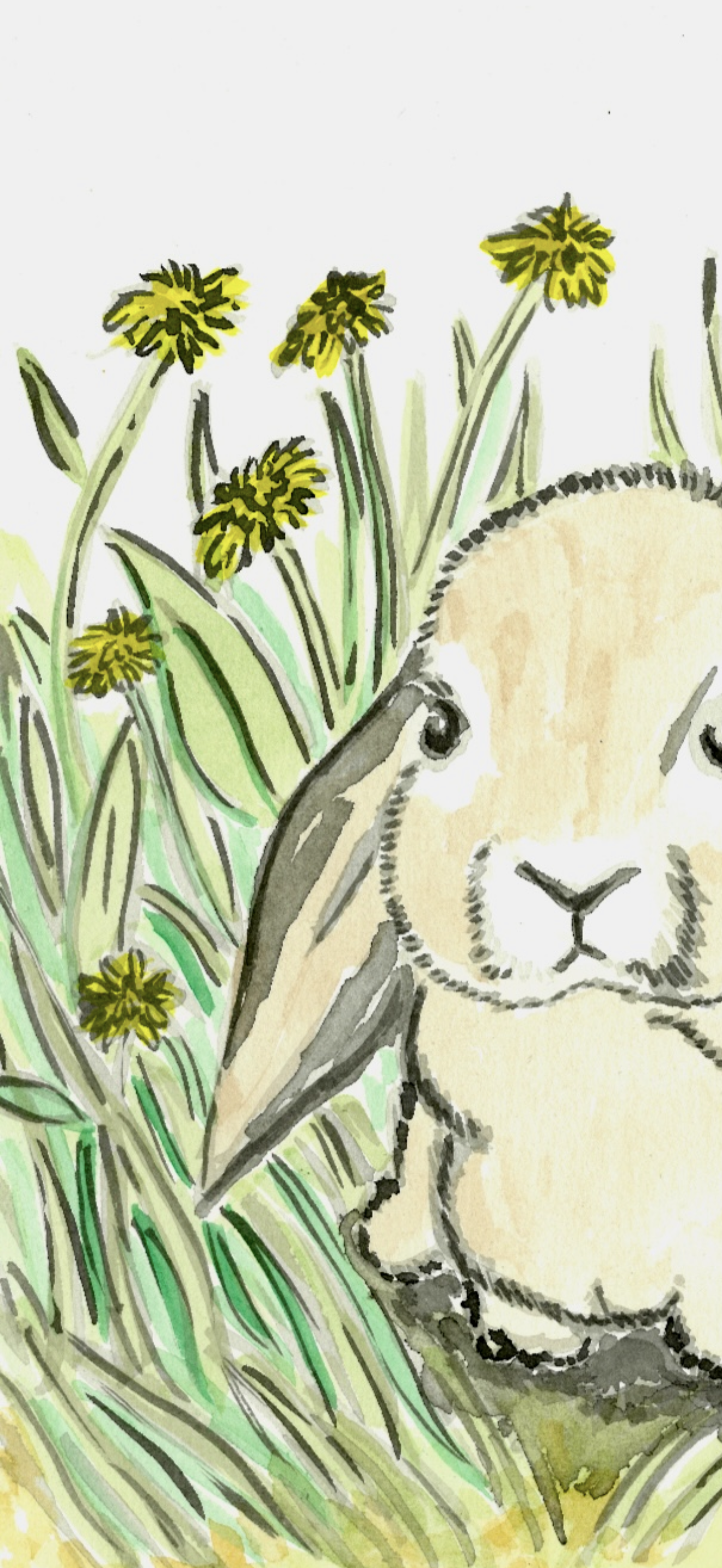 Mini Lop Earred Rabbit- Original Artwork