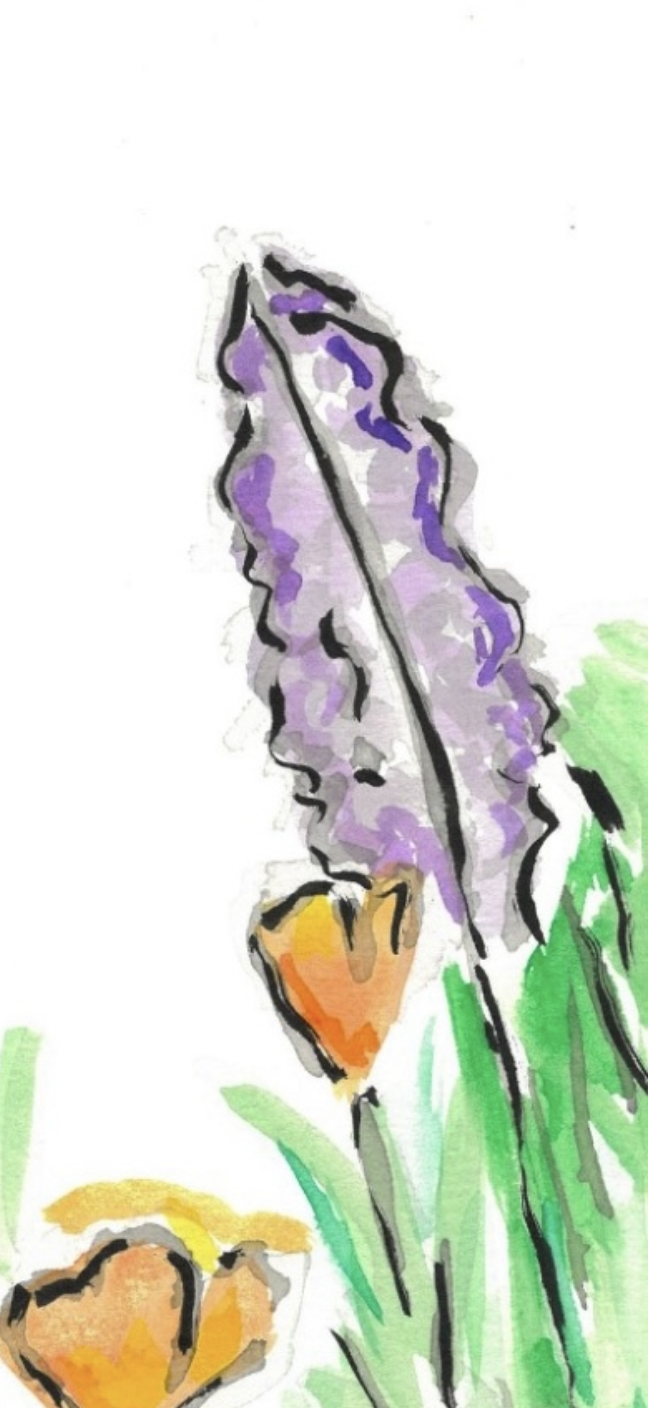Salvia and California Poppy II- Original Artwork