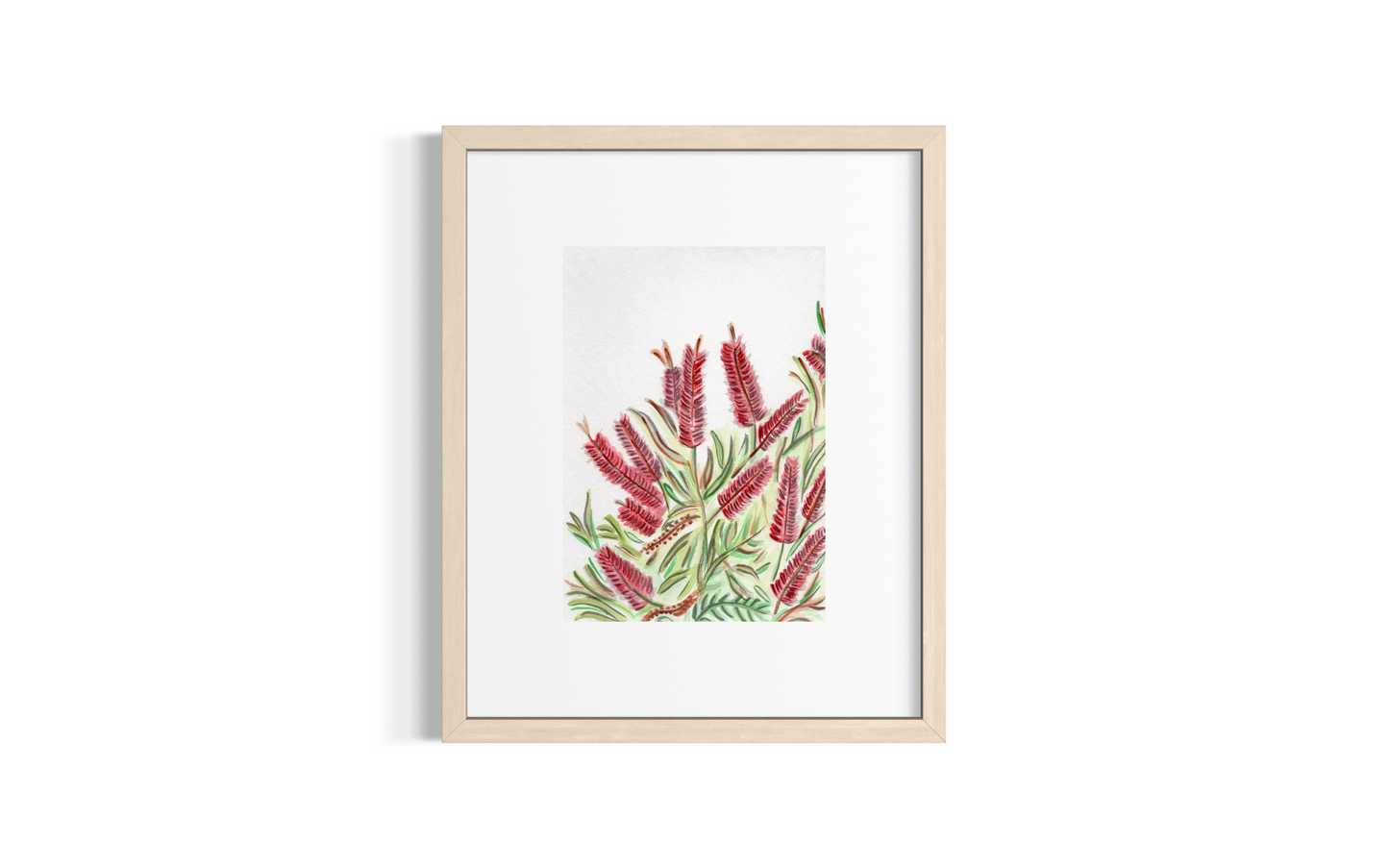 Bottlebrush- Original Artwork
