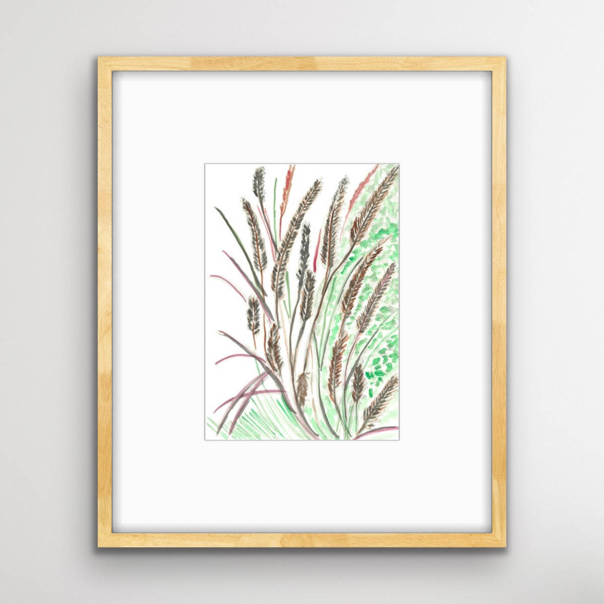 Purple Fountain Grass