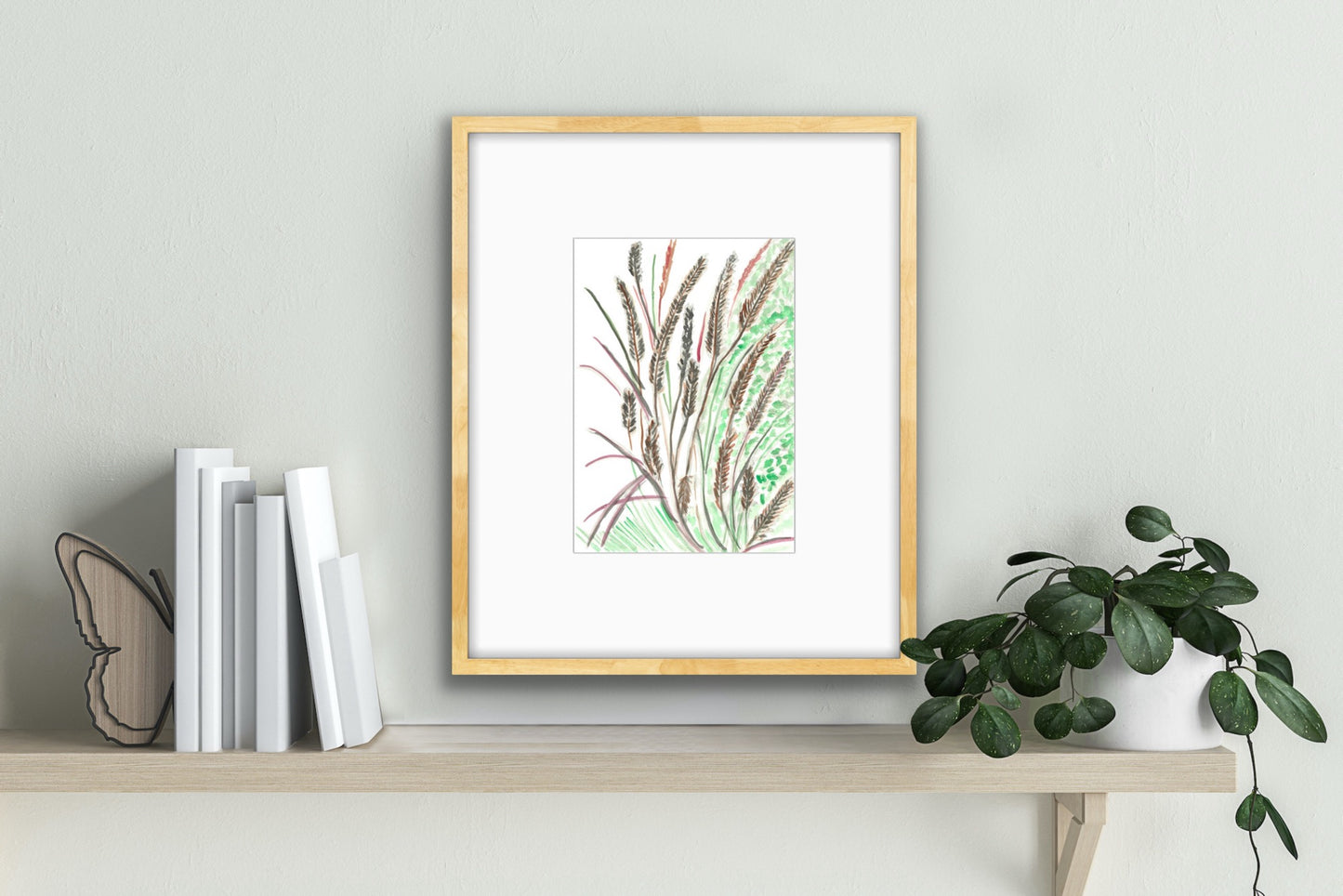 Purple Fountain Grass