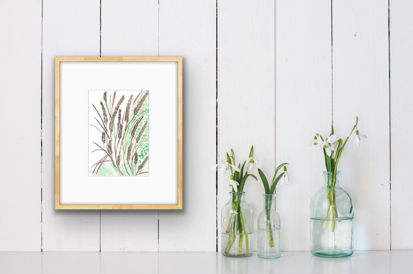 Purple Fountain Grass