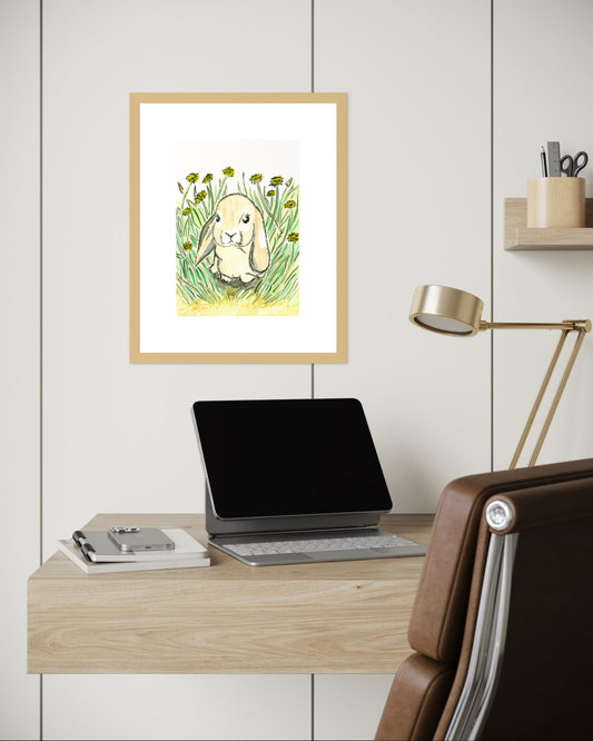 Mini Lop Earred Rabbit