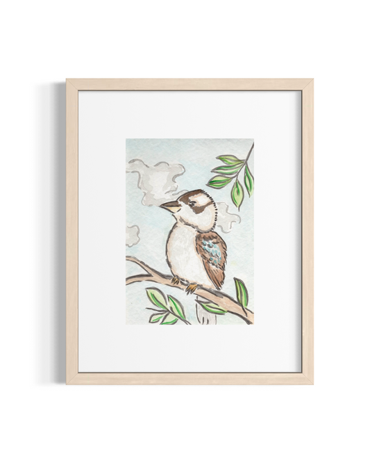 Kookaburra