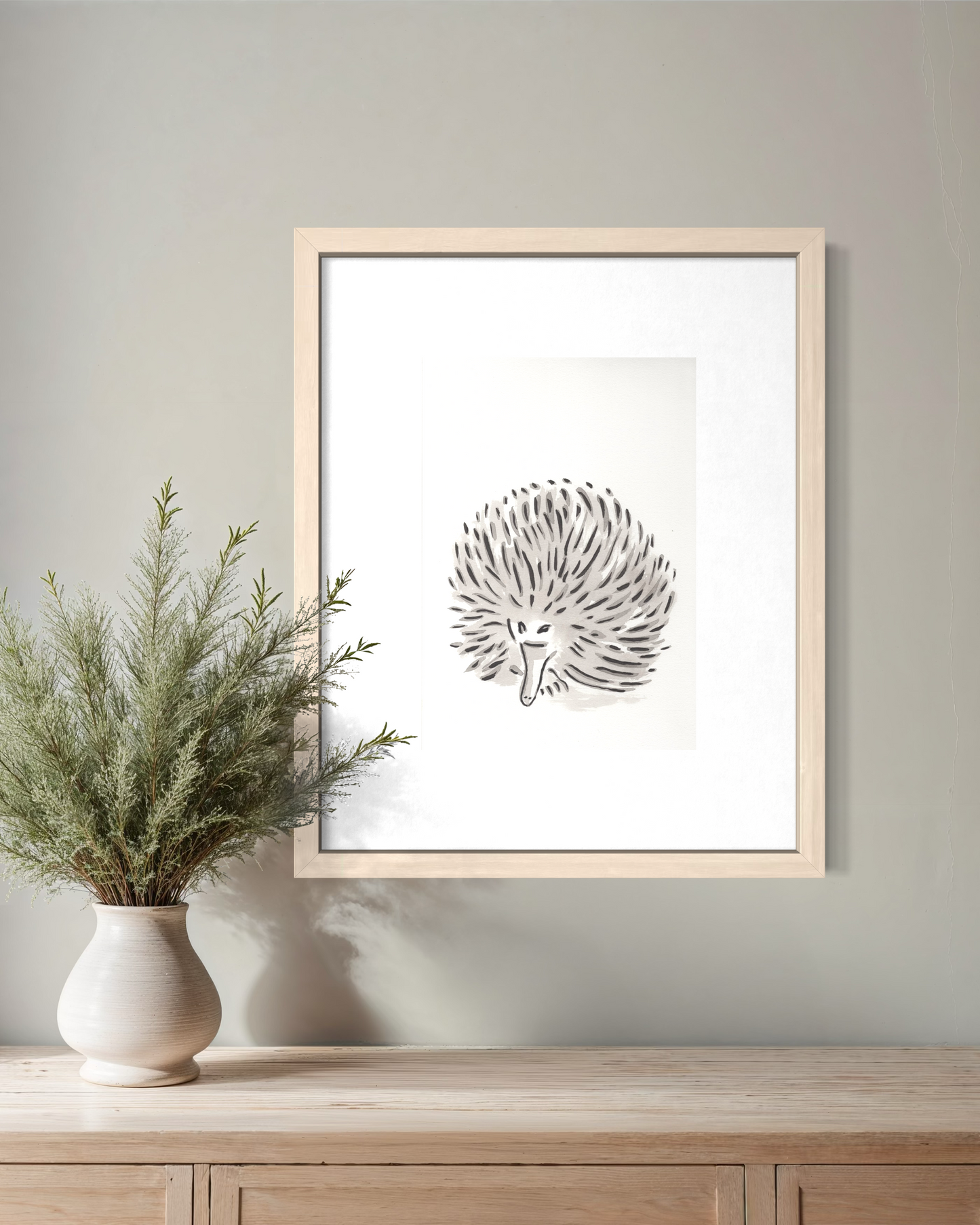 Echidna