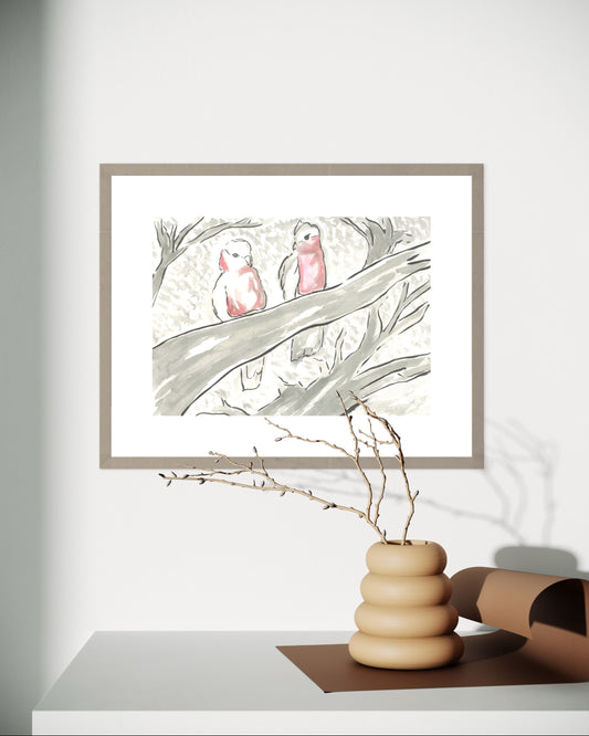 Two Galahs
