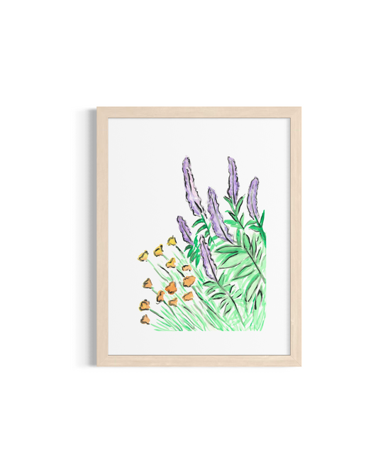 Salvia and Californian Poppy- Original Artwork