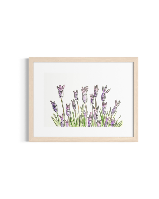 Lavender- Original Artwork