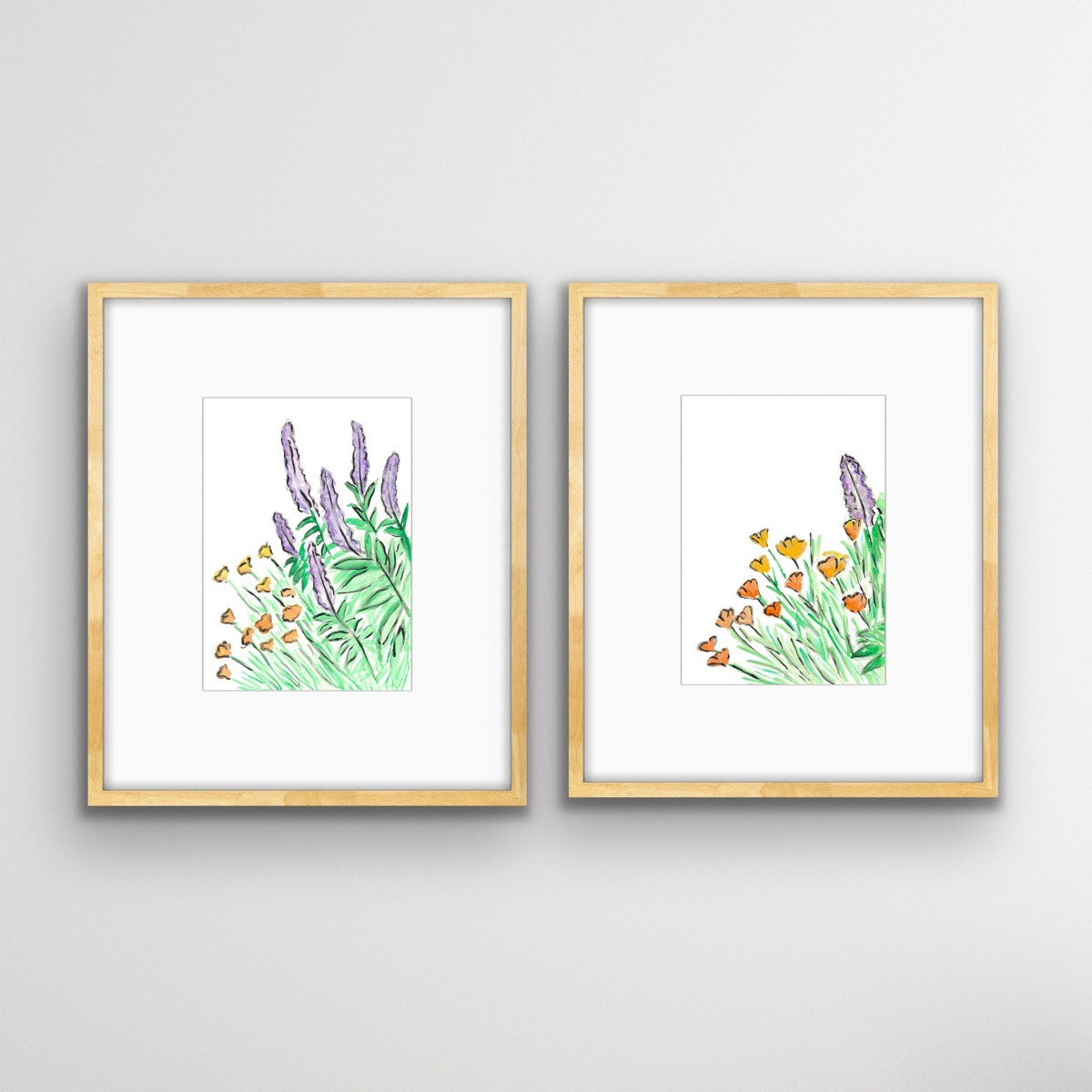 Salvia and Californian Poppy