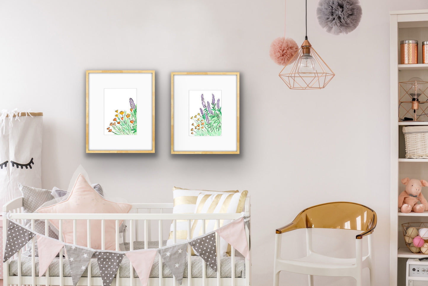 Salvia and Californian Poppy